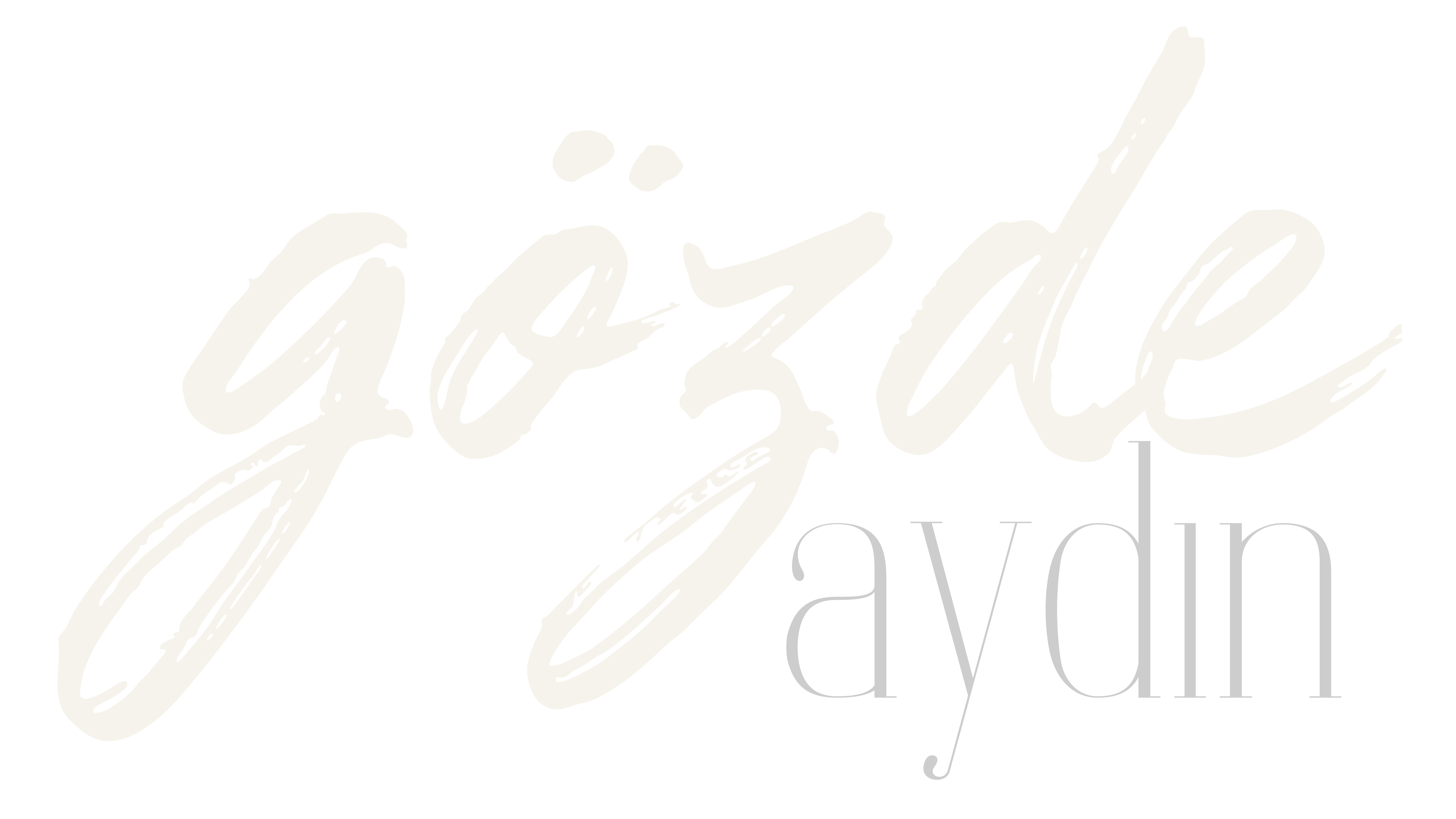 Gözde Aydın